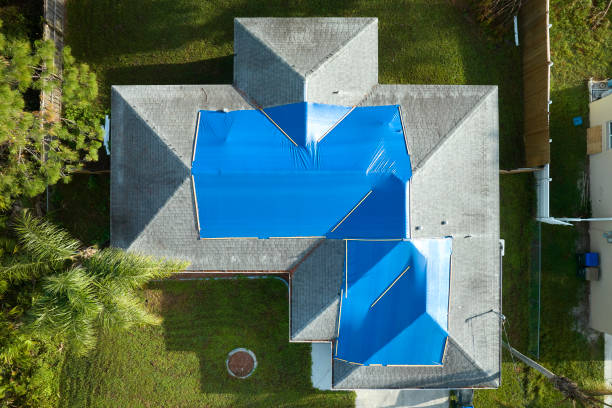 Best Roof Maintenance and Cleaning  in Hawaiian Gardens, CA